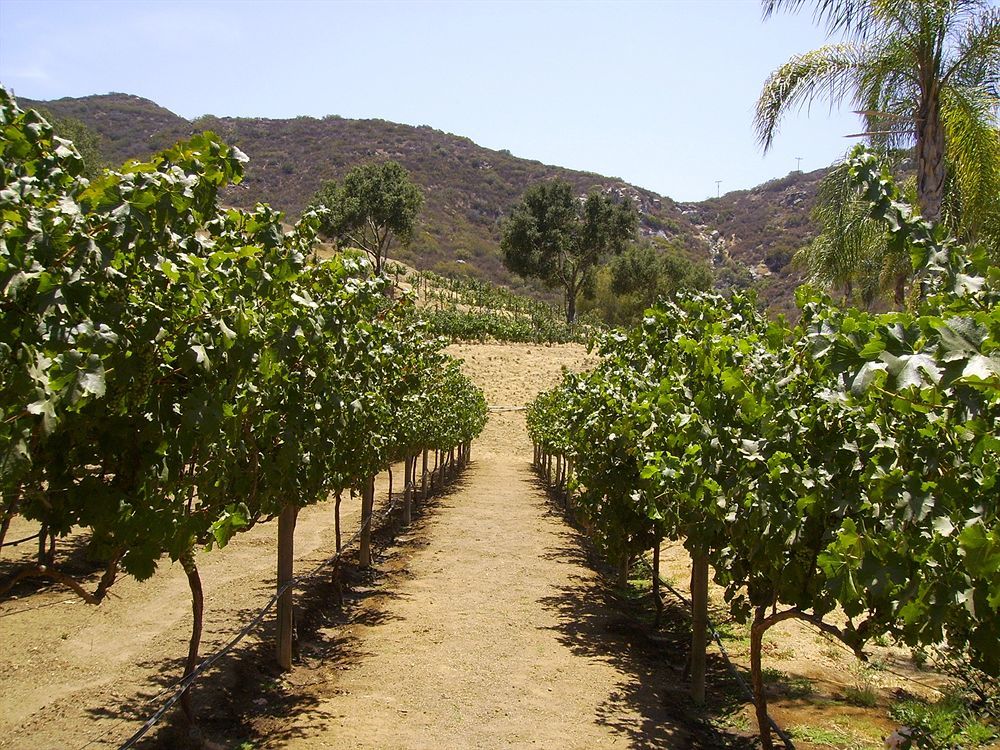 Vineyard Hacienda Hotel Spring Valley  Ngoại thất bức ảnh